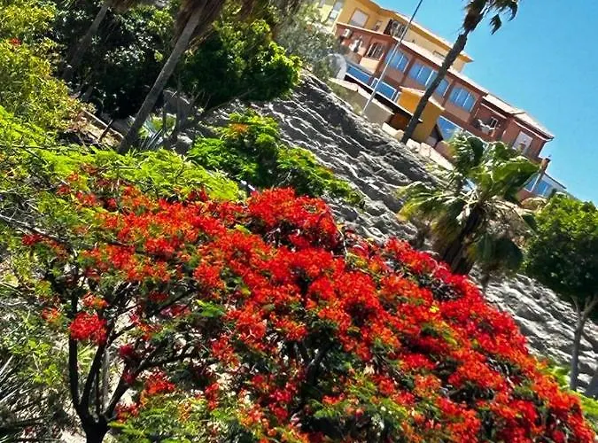 Natali ,luxury 3-levels Large On Tenerife, Ocean View, Private Poo L& Barbecue Area *