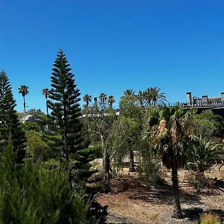 Villa Natandre Tenerife Ocean View Accommodation *